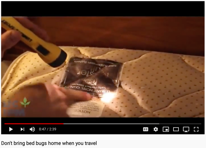 Bed Bug Free Holiday Travel Tips (with video)