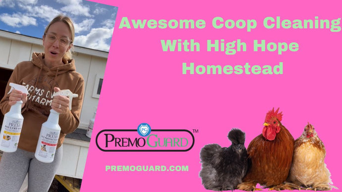 High Hope Homestead Chicken Coop Cleanout With Premo Guard Poultry Spray