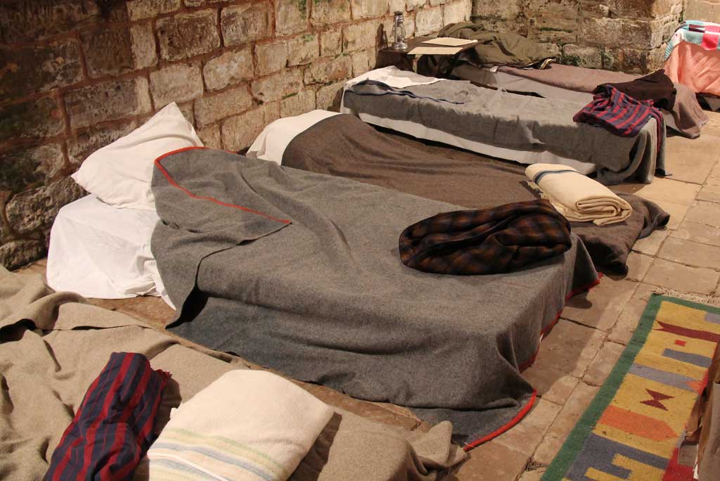 Hurricane Shelters and Bed Bugs How to Protect Yourself Premo