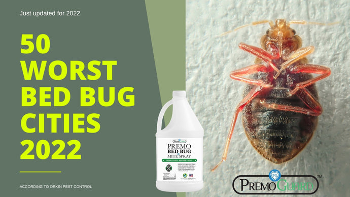 50 worst bed bug cities 2022 - Premo Guard Bed Bugs Spray