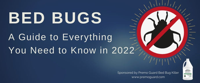 Bed Bugs Guide 2022.  Everything you need to know about bed bugs