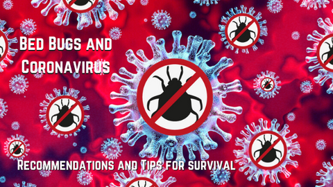 Bed Bugs and Coronavirus Covid-19 - Tips and Recommendations from Premo Guard Bed Bug & Mite Spray