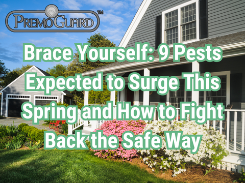 Brace Yourself: 9 Pests Expected to Surge This Spring and How to Fight Back the Safe Way
