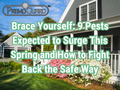 Brace Yourself: 9 Pests Expected to Surge This Spring and How to Fight Back the Safe Way