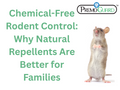 Chemical-Free Rodent Control: Why Natural Repellents Are Better for Families