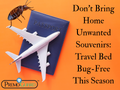 Don’t Bring Home Unwanted Souvenirs: Travel Bed Bug-Free This Season