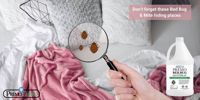 Don’t forget these Bed Bug & Mite hiding places