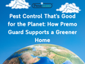 Pest Control That’s Good for the Planet: How Premo Guard Supports a Greener Home