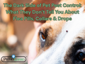 The Dark Side of Pet Pest Control: What They Don’t Tell You About Flea Pills, Collars & Drops