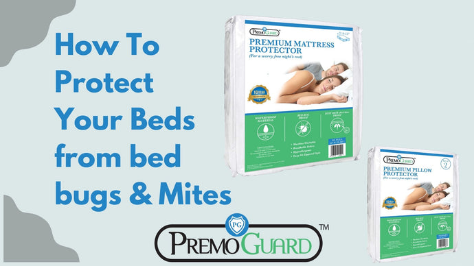 How To Protect Your Beds from Mites & Bed Bugs with Premo Guard
