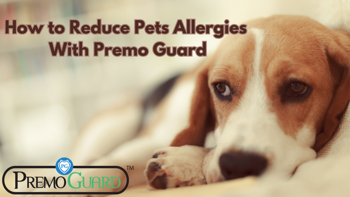 How to Reduce Pets Allergies With Premo Guard