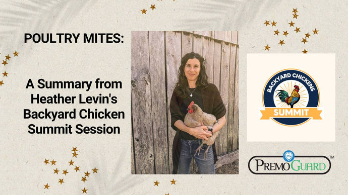 Poultry Mites: A Summary from Heather Levin's Backyard Chicken Summit Session