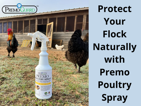 Protect Your Flock Naturally with Premo Poultry Spray
