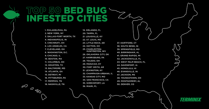 Most Bed Bug Infested U.S. Cities of 2019