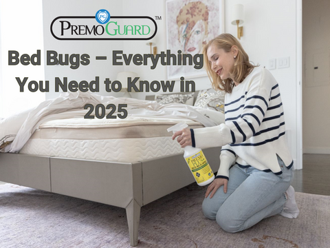 A Guide: Bed Bugs – Everything You Need to Know in 2025