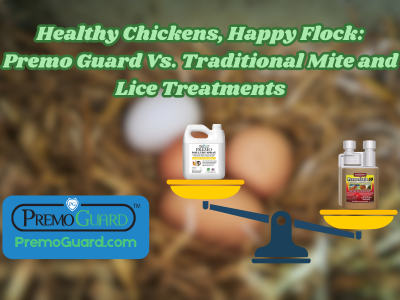 Premo Guard Vs traditional chicken medecine