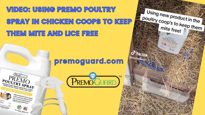 Mite Free Spring Cleaning with Premo Guard Poultry Spray