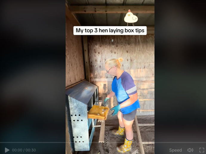 terriandkoop shares her top three chicken laying box tips