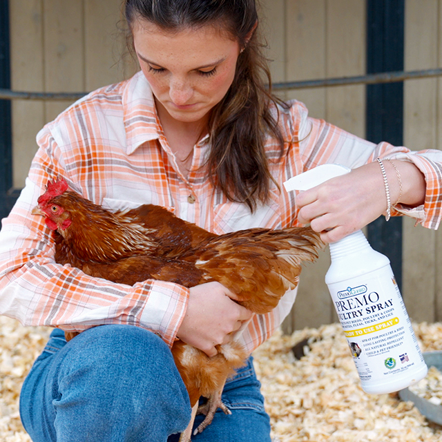 Chicken & Poultry Mite Treatment Sprays | Premo Natural Products }